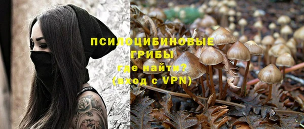 стафф Балахна