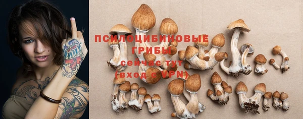 стафф Балахна