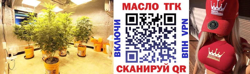 наркотики  Саянск  ТГК концентрат 