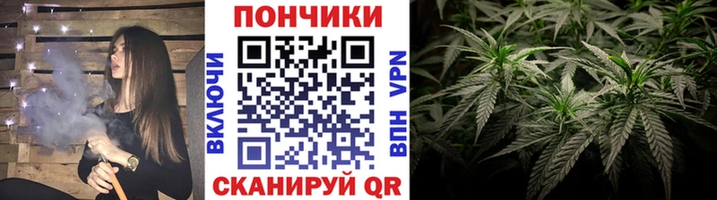 Конопля сатива  Саянск 